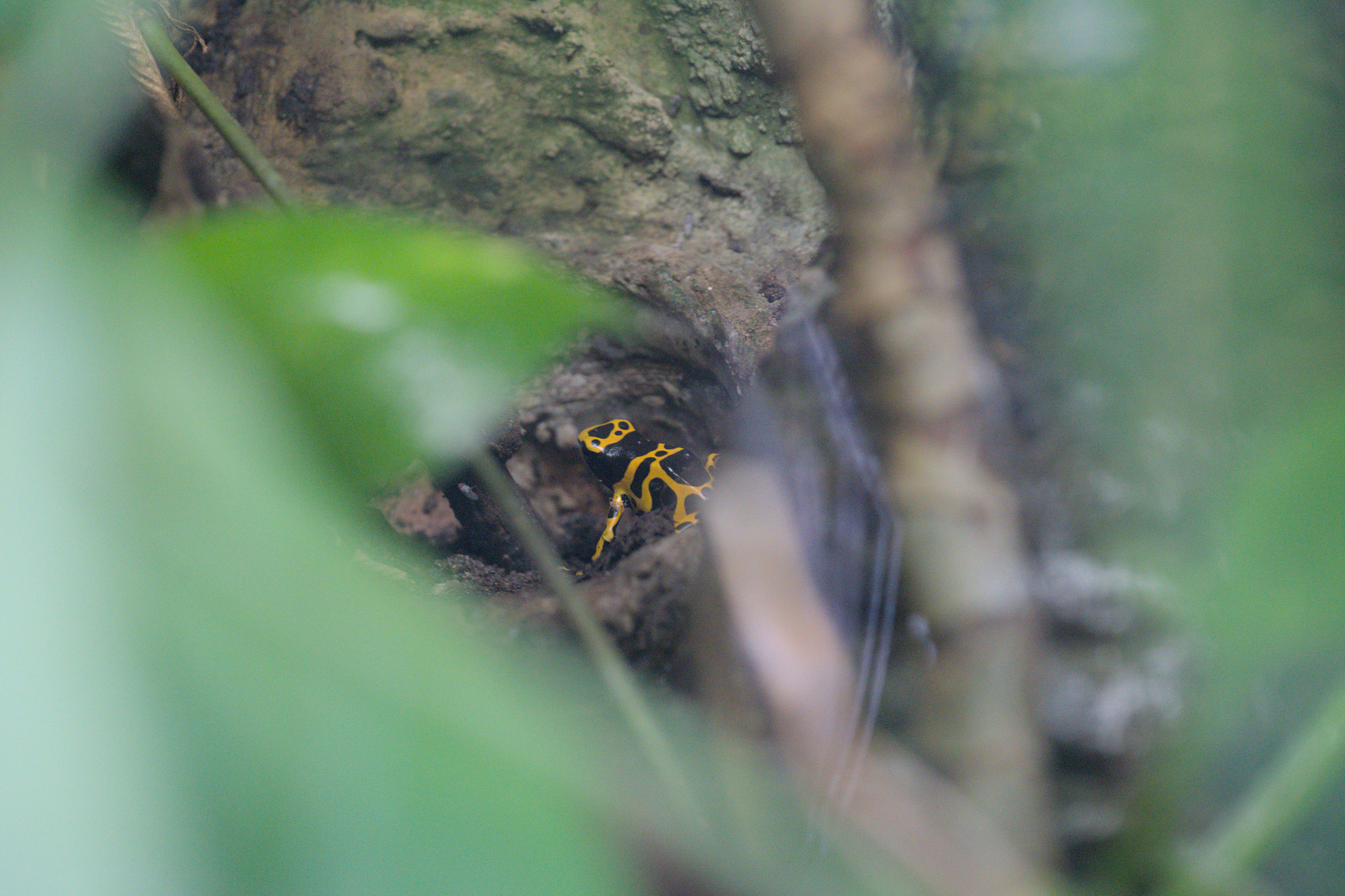 2025/10/12 - zoo/DSC_0161.jpg